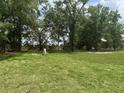 Spacious backyard with lush green grass and ample space for outdoor activities and landscaping at 185 Malauka Loop, Ocklawaha, FL 32179