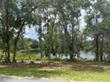 Scenic lake view through the trees showcasing the serene and natural beauty of the surrounding landscape at 185 Malauka Loop, Ocklawaha, FL 32179