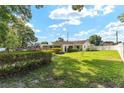 Spacious backyard with a lush lawn, mature trees, and privacy hedges at 3515 Ne 43Rd Pl, Ocala, FL 34479