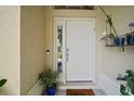 The front door is accented by a sidelight window and decorative plants, creating a welcoming entrance to the home at 611 Allenwood Loop, The Villages, FL 32162