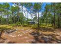 Picture shows large lawn, with scattered pine needles, around a single story home with mature trees at 12320 Sw 62Nd Pl, Ocala, FL 34481