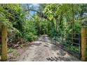 Long, private driveway leads to a gated entrance, surrounded by dense trees and foliage at 19130 Nw 60Th Ave, Reddick, FL 32686