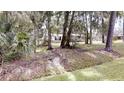 Exterior view of the rear of the home amongst mature trees in the backyard at 4121 Sw 6Th Ave, Ocala, FL 34471