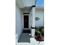 Inviting entryway with a decorative light fixture and elegant door design at 8320 Sw 108Th Place Rd, Ocala, FL 34481