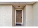 Close-up of the front door with a dark brown finish at 15711 Sw 52Nd Avenue Rd, Ocala, FL 34473