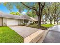 Wide driveway leading to a single-story home with mature trees and lush green landscaping at 9367 Sw 83Rd Ave # C, Ocala, FL 34481