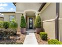Inviting front entrance with decorative plants, elegant pillars, and a well-maintained walkway at 9634 Sw 67Th St, Ocala, FL 34481