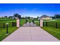 Ornate gated entrance featuring horse silhouettes and decorative posts on a vast manicured lawn at 7041 Ne 22Nd Court Rd, Ocala, FL 34479