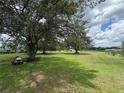 Lush backyard with mature trees and a riding lawn mower for easy maintenance at 6773 Se 87Th St, Ocala, FL 34472