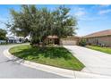 Charming home featuring a well-manicured lawn, mature trees, and an inviting driveway at 9222 Sw 97Th Cir, Ocala, FL 34481