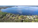 Aerial view of lakefront homes with lush trees and a picturesque lake setting at 9650 W Lake Marion Rd, Haines City, FL 33844