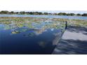 Scenic lake view with dock and lush lily pads at 1300 Lucerne Loop Ne Rd, Winter Haven, FL 33881