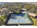 Two well-maintained tennis courts with surrounding fencing and landscaping at 111 Woden Way, Winter Haven, FL 33884
