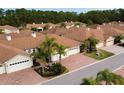Community of villas with brown tile roofs and palm trees at 1649 Linz Ct, Winter Haven, FL 33884