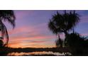 Stunning sunset over a serene lake with palm trees at 1107 Saint Anne Shrine Rd, Lake Wales, FL 33898