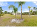 Single-story home with palm trees and grassy yard at 2330 Park Ave, Indian Lake Estates, FL 33855