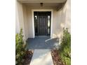 Inviting front entryway with a sleek black door flanked by sidelights and manicured landscaping at 1205 Lake Loop Rd, Winter Haven, FL 33880