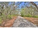 Long private driveway leading to a secluded property surrounded by trees at 151 W Hamlin Trl, Frostproof, FL 33843