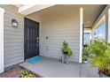 Welcoming front porch featuring a dark front door, modern light fixture, and decorative plants at 708 Simone Ct, Haines City, FL 33844
