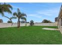 Large backyard with green grass, palm trees, and a white privacy fence at 583 Drayton Rd, Winter Haven, FL 33884