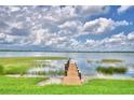 Scenic lake view featuring a wooden dock, lush greenery, and serene water under a cloudy sky at 1475 S Lake Howard Dr, Winter Haven, FL 33880