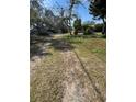 A large backyard showing the boundary lines, grass, and trees of the backyard at 334 Main St, Haines City, FL 33844