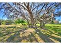 Beautiful treed front yard creates a serene and shaded space at 122 Wgto Tower Rd, Lake Alfred, FL 33850