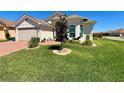 Landscaped front yard featuring green lawn, mature landscaping, and a decorative tree with rock border at 1402 Colonial Ct, Winter Haven, FL 33884