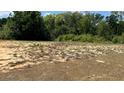 Large, empty lot ready for construction in a wooded area with ample space for a new home or expansion at 214 Brook Ln, Polk City, FL 33868