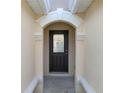 Elegant front door with decorative glass inset and decorative framing at 4610 Yellow Bay Dr, Kissimmee, FL 34758