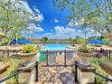 Resort-style community pool and recreation area with lush landscaping, lounge chairs, and shade umbrellas at 825 Grazie Loop, Davenport, FL 33837
