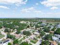 Scenic aerial view of a peaceful residential community with mature trees and a distant lake at 1506 Chamberlain Loop, Lake Wales, FL 33853