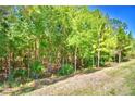 Lush wooded backyard offering privacy and a natural setting at 1573 Vienna Square Dr, Winter Haven, FL 33884
