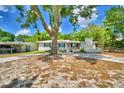 Charming single-story home with a large shade tree and inviting curb appeal at 1919 19Th Nw St, Winter Haven, FL 33881