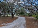 Long gravel driveway leads through mature trees, offering a serene and private approach to the home at 3805 Mammoth Grove Rd, Lake Wales, FL 33898
