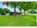 Well-maintained single-story home featuring a lush green lawn, mature trees, and a brick facade at 1491 Avenue F Ne, Winter Haven, FL 33881
