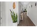 Hallway showcasing wood-look floors, neutral paint, and easy access to various rooms within the home at 716 Vittorio Dr, Winter Haven, FL 33884