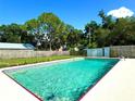 Backyard pool with crystal clear water surrounded by lush greenery and a wooden fence at 2159 Greenway Dr, Winter Haven, FL 33881