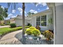 Beautiful landscaping with colorful plants, gray stone and palm tree at 2350 Paulette Dr, Haines City, FL 33844