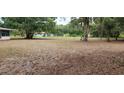 Expansive back yard featuring mature trees creating a serene natural setting in a neighborhood in Dunnellon, Florida at 4160 Poinciana Dr, Indian Lake Estates, FL 33855