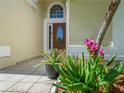 Close-up of the front door featuring decorative plants, tiled entryway and a half-moon window at 2538 Crown Ridge Cir, Kissimmee, FL 34744