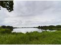 Picturesque view of the pond surrounded by lush green vegetation and trees at 1264 Buckeye Ne Rd, Winter Haven, FL 33881