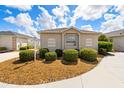 Front view of a single-story house with manicured landscaping at 2605 Seneca Ave, The Villages, FL 32162