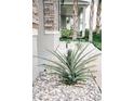 Close-up of a pineapple plant among decorative white rocks and lush landscaping at 414 Taft Dr, Davenport, FL 33837