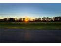 Stunning landscape view with vibrant greenery and a breathtaking sunset over the horizon at 15373 Evans Ranch Rd, Lakeland, FL 33809