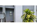 A unit entrance featuring well-maintained facade and healthy outdoor plant at 2408 Lemon Tree Ln # C, Orlando, FL 32839