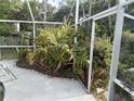 Screened-in pool area with surrounding lush tropical landscaping at 7406 Nolton Way, Orlando, FL 32822