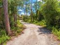 A winding dirt driveway leads up to the home in a natural, wooded setting at 1775 Sundance Dr, St Cloud, FL 34771