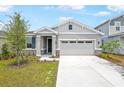 Charming single-story home boasts a manicured lawn and neutral colors at 192 Flag Lilly Ln, Umatilla, FL 32784