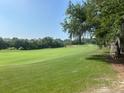 Beautiful view of the green golf course lined with trees on a sunny day at 1652 Dunes Ct, Haines City, FL 33844